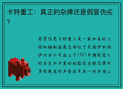 卡特重工：真正的杂牌还是假冒伪劣？